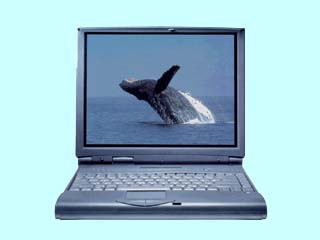 PROTON Note 5027-P233M 5027-P233M