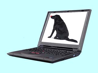 ThinkPad i 1200 1161-234 1161-234
