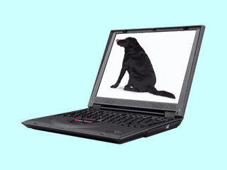 ThinkPad i 1200 1161-91J 1161-91J