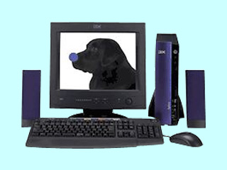 Aptiva E 13J 2197-135 2197-135