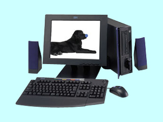 Aptiva E 13J 2197-13R 2197-13R