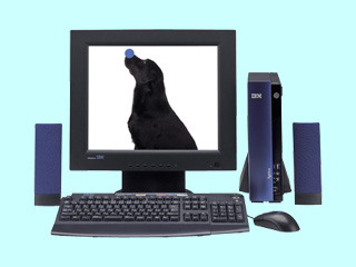 Aptiva E 13J 2197-13S 2197-13S