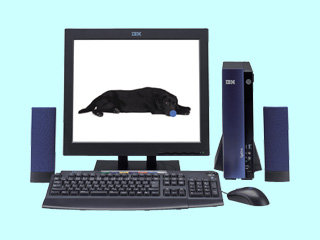 Aptiva E 7EJ 2197-7EE 2197-7EE