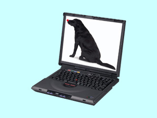 ThinkPad i 1400 2621-496 2621-496