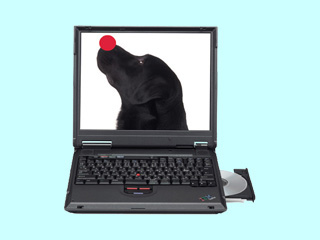 ThinkPad i 1800 2632-I1J 2632-I1J