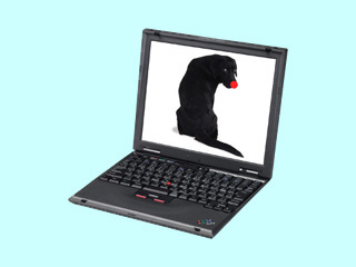 ThinkPad i 1620 2661-2DJ 2661-2DJ