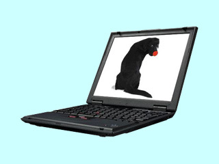 ThinkPad i 1620 2661-2CJ 2661-2CJ