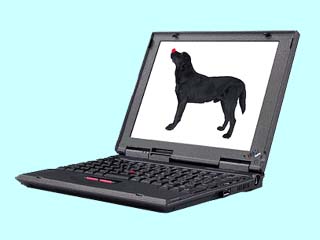 ThinkPad i 1124 2609-53J 2609-53J