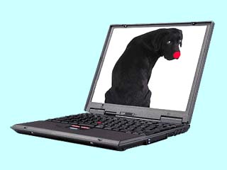 ThinkPad i 1157 2644-DA7 2644-DA7