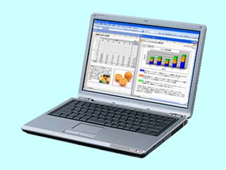 VAIO type S VGN-S90PSY1 VGN-S90PSY1