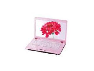 dynabook TX/66HPK PATX66HLPPK スウィートピンク PATX66HLPPK